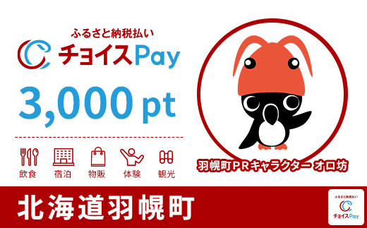 
            羽幌町チョイスPay 3,000pt【会員限定のお礼の品】
          