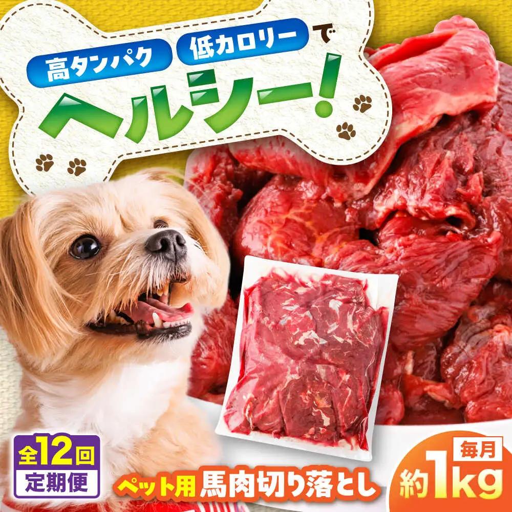 【全12回定期便】国内加工 ペット用 馬肉 切り落とし 約1kg ペット用 BHCY056