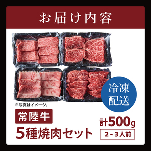 常陸牛5種焼肉セット希少部位入り　(２～３人前 500g）（NW-12）
