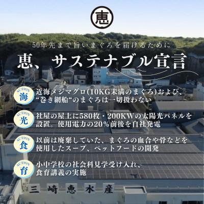 ふるさと納税 三浦市 【みんなの心彩る】天然本まぐろ 1.2kg(大トロ400g、中トロ400g、赤身400g) |  | 02