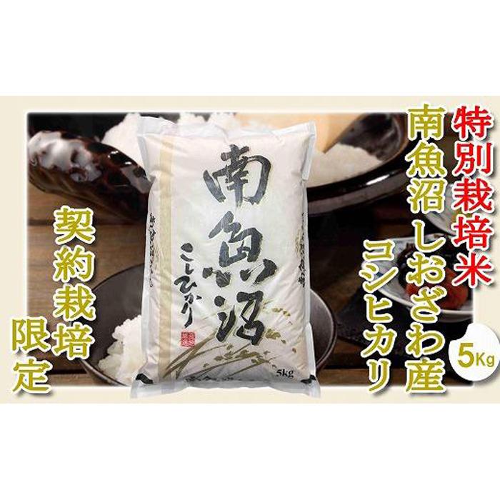 【ふるさと納税】【令和7年産】【精米5Kg】特別栽培 生産者限定 南魚沼しおざわ産コシヒカリ | お米 こめ 白米 コシヒカリ 食品 人気 おすすめ 送料無料 魚沼 南魚沼 南魚沼市 新潟県産 新潟県