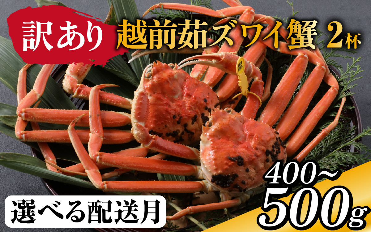 
            【先行予約】[到着日指定可]【訳あり】蟹好きが唸る老舗カニ料理店の越前茹ズワイ蟹　ミニ(400～500g) 2杯【11月中旬より順次発送】 [G-085034]
          