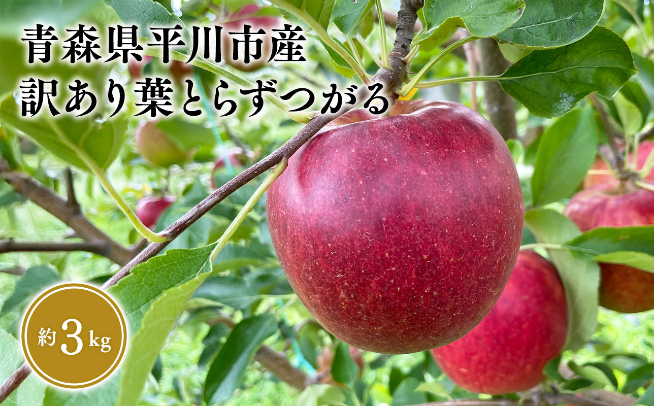 
                  ≪2026年8月下旬頃より発送≫青森県産 訳あり つがる 約3kg【青森県 平川市 なるみ農園】家庭用 訳アリ 青森 青森県産 平川 りんご リンゴ 林檎 くだもの 果物 フルーツ 
                
