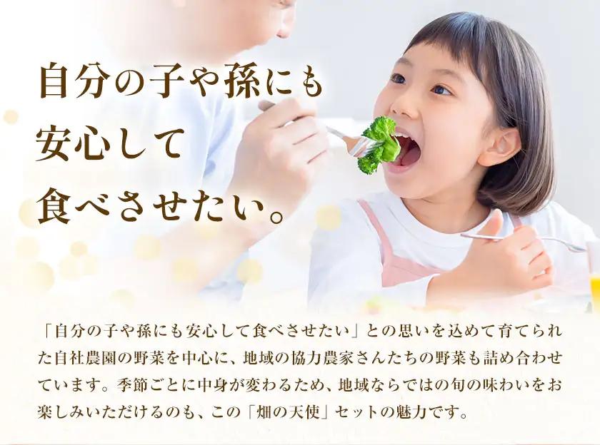 【12ヶ月定期便】野菜 詰合せ 7～9品 米 2kg 12回《お申込み翌月から出荷》 畑の天使