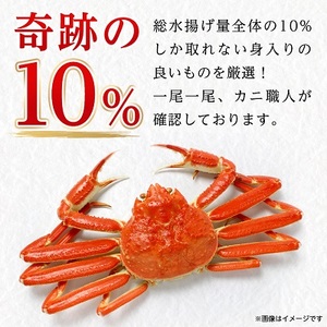 紅ズワイ かにしゃぶ 約500g( 剥き身 ポーション ) 北海道 稚内市 国産【配送不可地域：離島】【1002697】