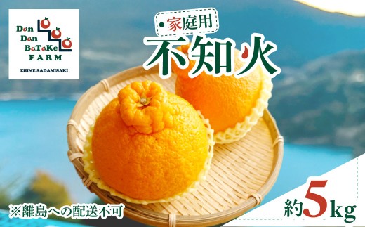 【先行予約】【家庭用】不知火 約5kg | 柑橘 みかん 果物 フルーツ 愛媛県産 農家直送　※離島への配送不可　※2027年2月下旬より順次発送予定  【ふるさと納税 人気 おすすめ ランキング 柑橘 みかん ミカン フルーツ mikan 果物 オレンジ 不知火 家庭用 Dan Dan BaTaKe FARM 愛媛県産 愛媛県 伊方町 送料無料】 IKTAU008