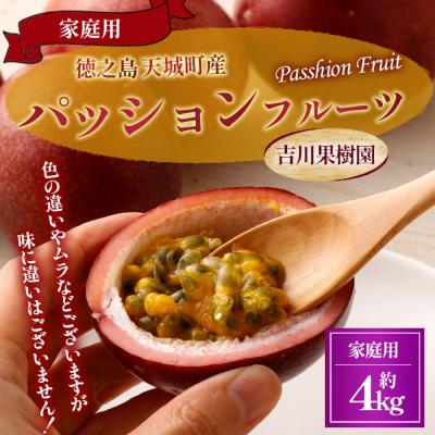 ふるさと納税 天城町 【2026年発送】徳之島 天城町 吉川果樹園 パッションフルーツ 家庭用 4kg トロピカルフルーツ