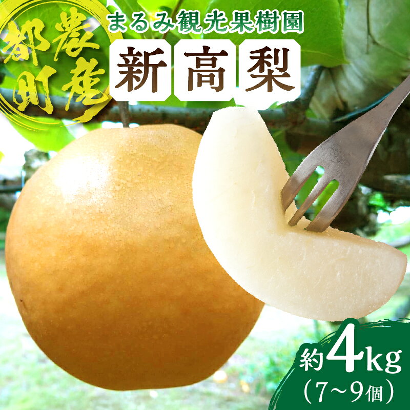 【ふるさと納税】先行予約 都農町産 期間限定 数量限定 まるみ果樹園 新高梨 安心 安全 天然ミネラル栽培 デザート フルーツ 季節の果物 旬 おいしい 甘い ジューシー 食品 おやつ 国産 おすすめ 人気 お取り寄せ お土産 手土産 おすそ分け 贈り物 宮崎県 送料無料
