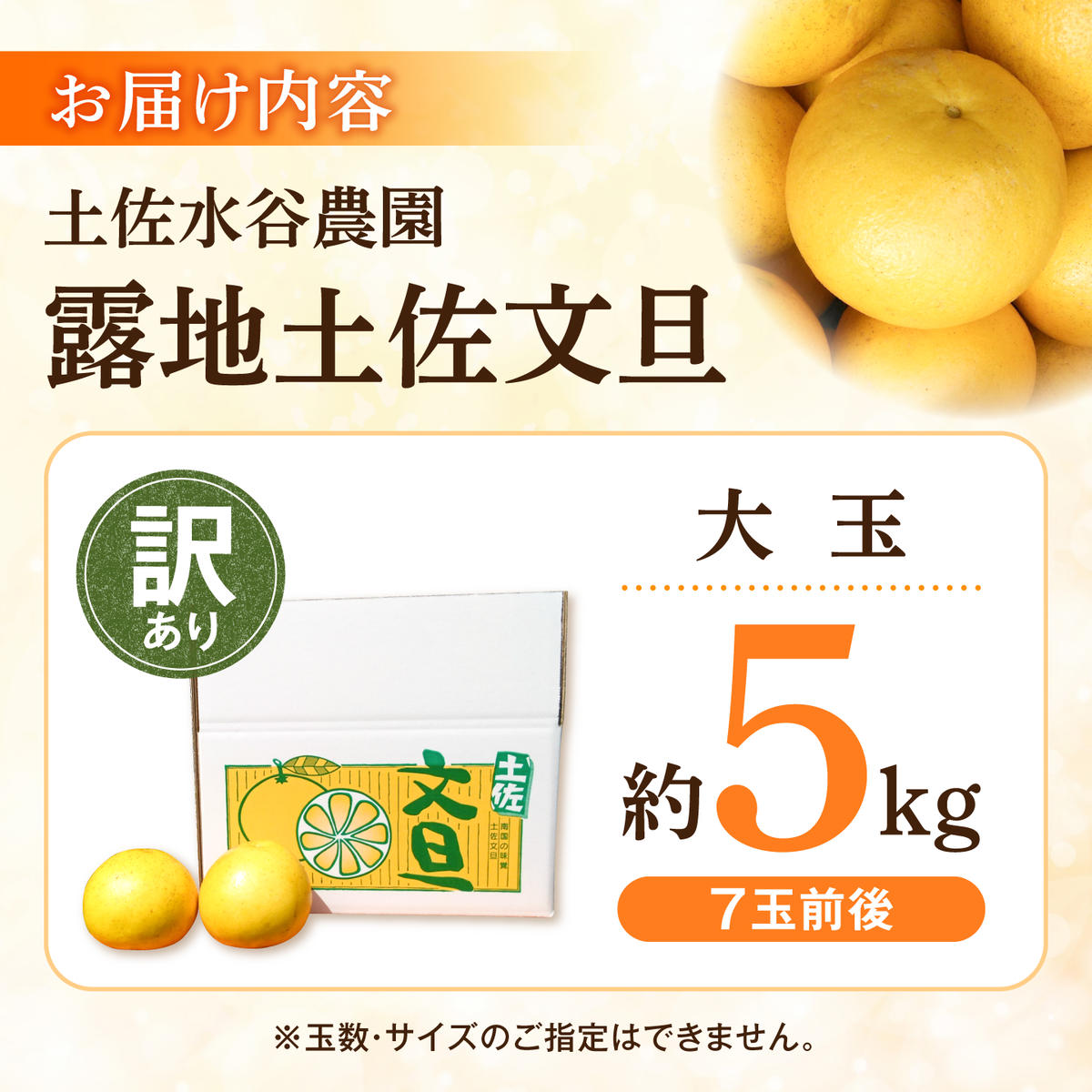 【先行予約】文旦 家庭用大玉 5キロ 5kg（3L～上限なし：7玉前後）〈2027年1月20日～発送〉皮むき器付き 訳あり 文旦 ぶんたん フルーツ 果物 高知 土佐市 大玉【土佐水谷農園】 [BQB
