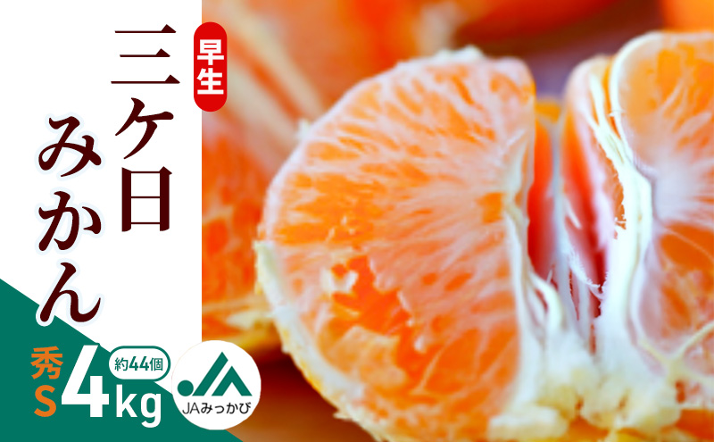 早生三ケ日みかん 秀S 4kg （約44個） みかん ミカン フルーツ 果物 くだもの 機能性表示食品 浜松市