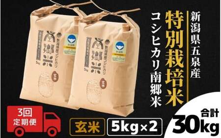 【令和6年産新米】〈3回定期便〉特別栽培米コシヒカリ「南郷米」玄米10kg（5kg×2袋）［2024年9月中旬以降順次発送］ 有限会社ファームみなみの郷