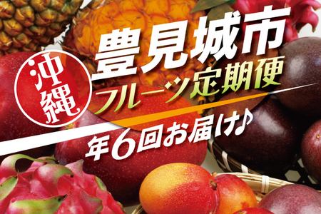 【全6回】人気！沖縄フルーツ定期便 (AC020)