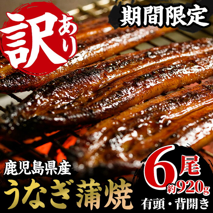 ＜訳あり・期間限定＞鹿児島県産うなぎ蒲焼6尾！国産 国産魚 九州産 鹿児島県産 魚 鰻 うなぎ 蒲焼 蒲焼き 訳あり 訳アリ 規格外 限定 惣菜 冷凍 【南竹鰻加工】