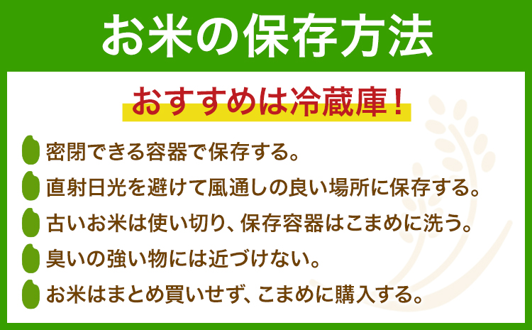 白米 10kg さこんたろう《90日以内に発送予定(土日祝除く)》熊本県 御船町 コメ おこめ 白米 ごはん 熊本県産---mifune_skt_3_10kg---
