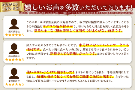a10-507202402　【2024年2月お届け】メバチまぐろのみ使用！！ネギトロ（80g×12袋）ネギトロ丼 ネギトロ軍艦 ネギトロ手巻き寿司 ネギトロ巻き ネギトロ 