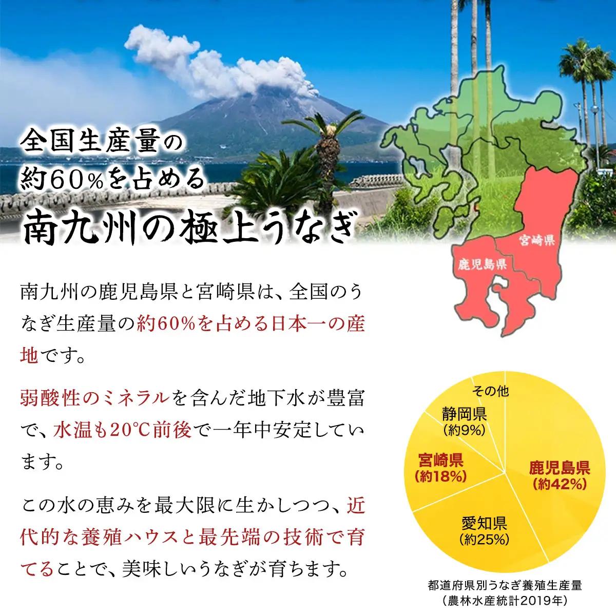 国産 うなぎ 蒲焼き（無頭 約180g前後）×1尾 タレ＆山椒付 贈答用BOX入り[024-a071]