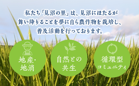 見沼田圃　ほたる米（無農薬／無化学肥料玄米） コシヒカリ 5kg　【11100-1138】