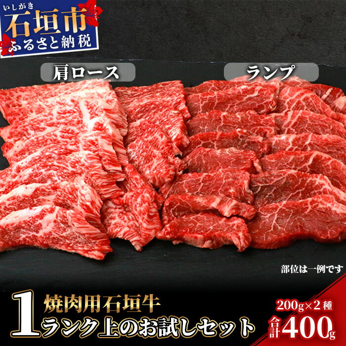 【ふるさと納税】高級 黒毛和牛 石垣牛 焼肉 お試し セット 希少部位 2種 各200g 計400g ｜ ふるさと納税 焼き肉 和牛 黒毛和牛 石垣牛 国産 牛肉 ブランド牛 冷凍 産地直送 沖縄県 石垣市 人気 送料無料 SI-20-1