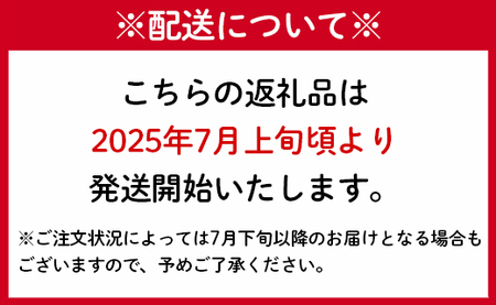 【2024年7月上旬以降配送開始】徳之島 天城町【贈答用】島マンゴー園の完熟マンゴー Ａ品 2kg マンゴー フルーツ
