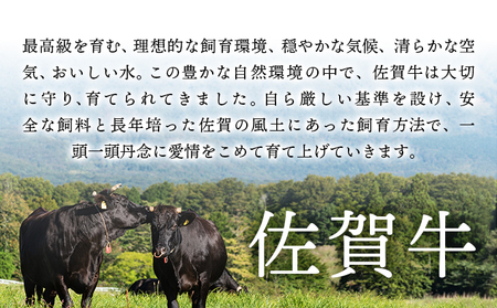 佐賀牛モモブロック 約500~600g