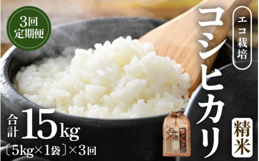 【先行予約】【令和8年産 新米】エコ栽培コシヒカリ　白米5kg×3回 計15kg ／ 鮮度抜群 福井県産 こしひかり ご飯 新鮮 白米 ※2026年10月上旬以降順次発送 [aw063-c013]
