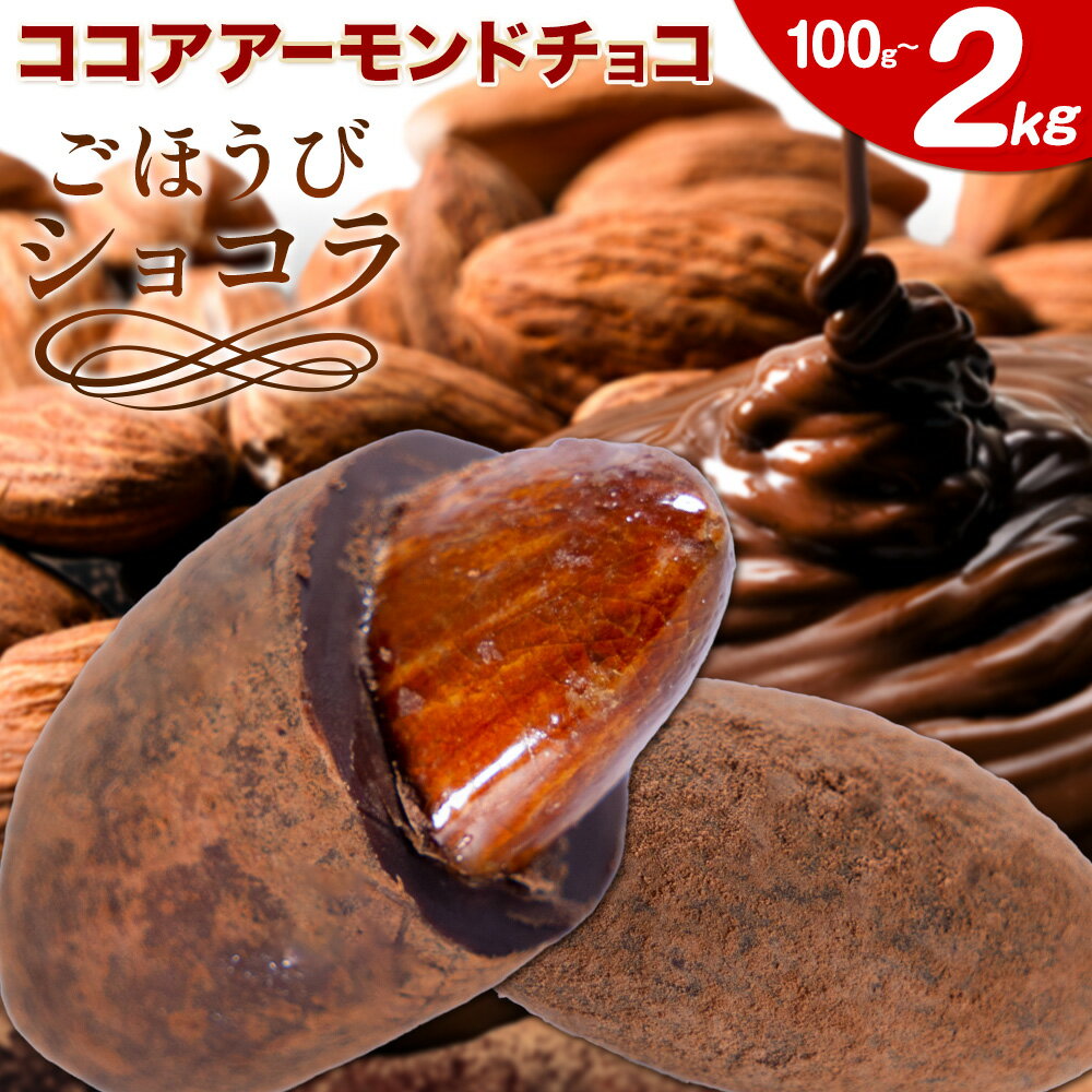 【ふるさと納税】チョコ チョコレート ココア アーモンドチョコ 選べる 100g 500g 1kg 2kg《30日以内に出荷予定(土日祝除く)》和歌山県 日高川町 送料無料 スイーツ デザート お菓子 おやつ チョコ アーモンド アーモンドチョコ ココア