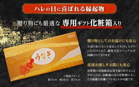 数量限定【薬丸の太鼓判】鹿児島県産うなぎ長蒲焼特大2尾（220g以上2尾）｜希少 うなぎ 鰻 ウナギ 貴重 うなぎ 鰻 ウナギ 太鼓判 うなぎ 鰻 ウナギ グルメ うなぎ 鰻 ウナギ おすすめ うなぎ