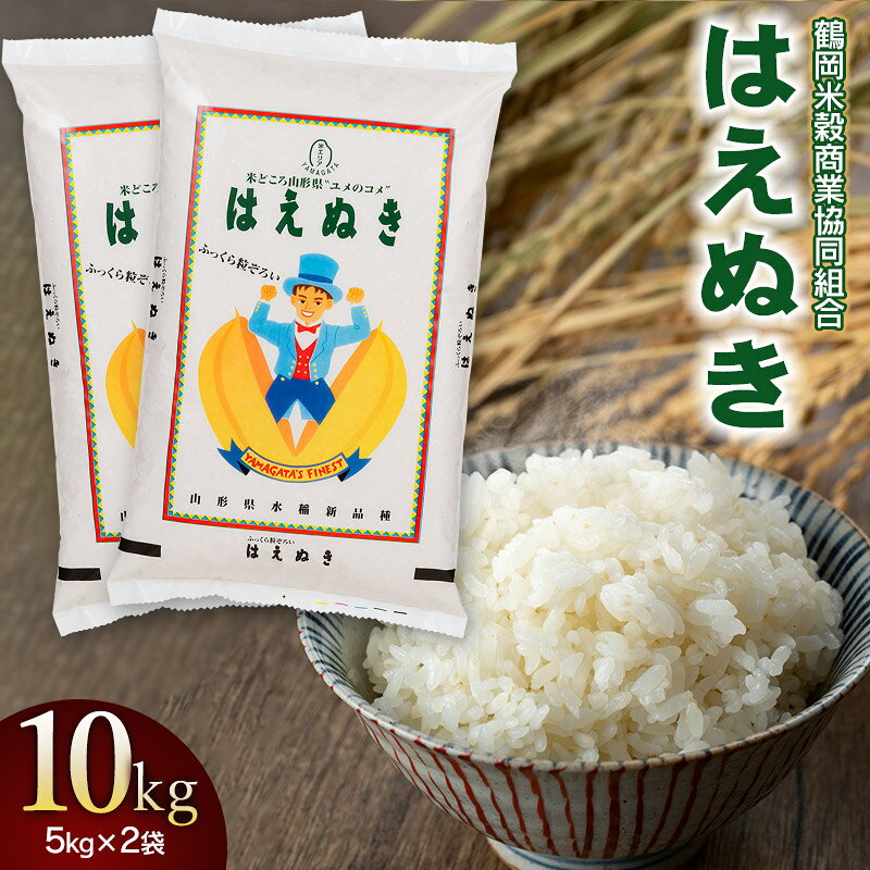 【ふるさと納税】【令和7年産】はえぬき 精米 10kg（5kg×2袋） 山形県庄内産　鶴岡米穀商業協同組合 | 2025年産 白米 鶴岡市 国産 ブランド米 米どころ 庄内米 食味ランク 特A 粒がしっかり ご飯 おにぎり 冷めても美味しい お弁当 おすすめ お取り寄せ 返礼品