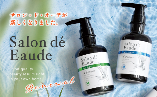 12回 定期便 サロン・ド・オーデ ボンドリペア シャンプー & トリートメント 各 500ml 2本 セット 合計 24本 ダメージ補修 ボトル 液体 アロインス製薬 美容 美容品 化粧品 日用品