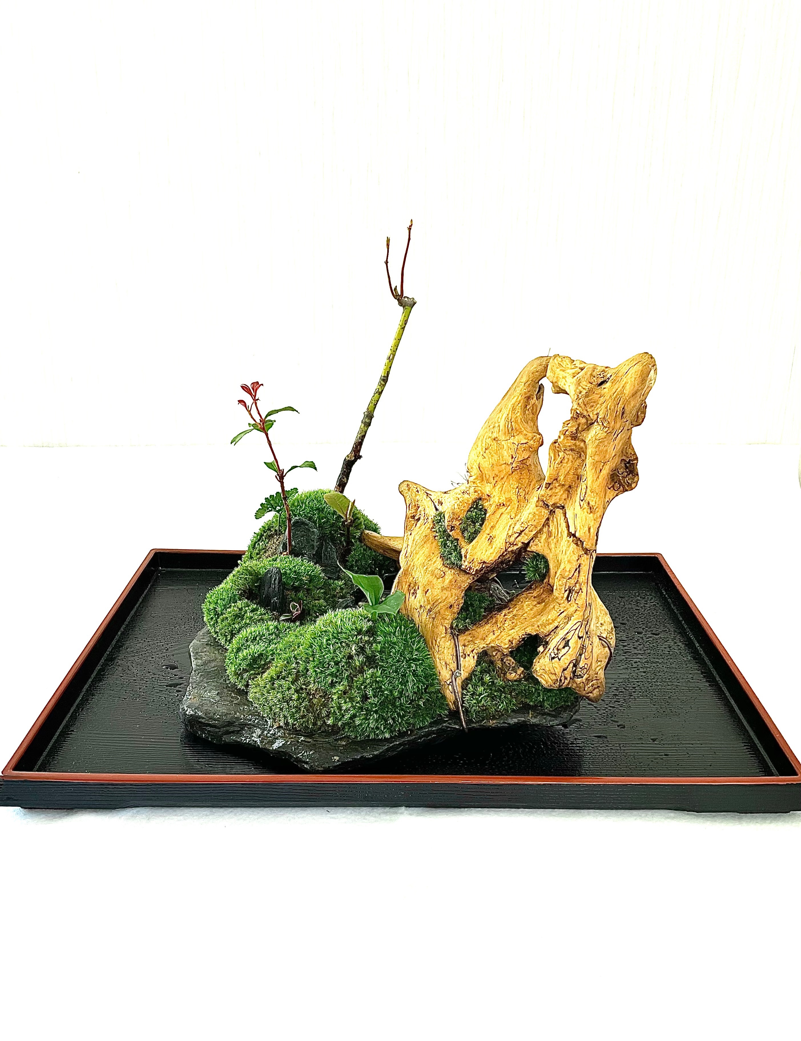 苔盆景川石山水画