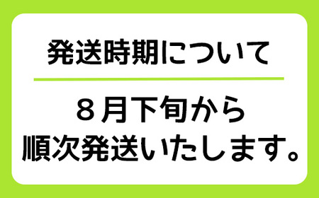 【先行予約】8月下旬発送開始！京都三和・丹波ぶどう＜藤稔・箱詰＞1kg ぶどう ぶどう ぶどう ぶどう ぶどう