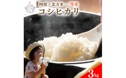 【 単品 3kg 】 コシヒカリ 令和8年産 阿波ノ北方米 1等 米 こめ ご飯 ごはん おにぎり 白米 精米 卵かけご飯 食品 ギフト 贈答 プレゼント お取り寄せ グルメ 送料無料 徳島県 阿波市 阿波ノ北方農園