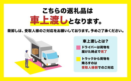 X-TJ B010 アップライトバイク ｜トレーニング フィットネス 器具 筋トレ スポーツ 運動 ダイエット ※北海道・沖縄・離島への配送不可