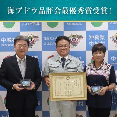ふるさと納税 中城村 【2025年4月中旬以降発送予定】海ぶどう(500g×2個セット)タレ付き　中城村産海ぶどう |  | 03