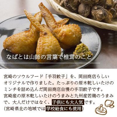 ふるさと納税 美郷町 ナバ手羽餃子(12本入)+椎茸パテ(3本ギフトボックス) |  | 01