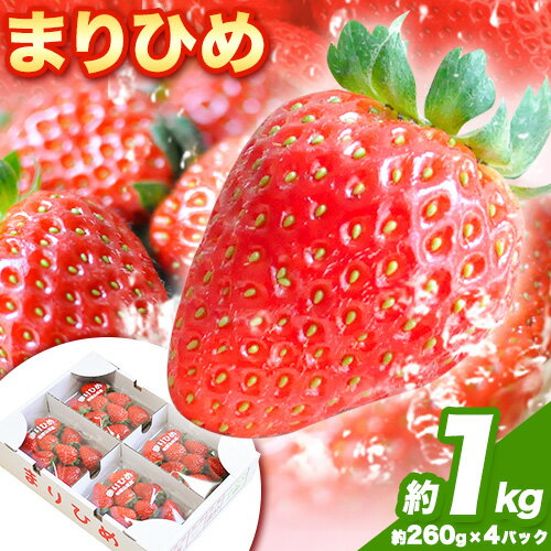 【ふるさと納税】和歌山県紀の川市産 まりひめ 約1kg(約260g×4パック) ときわオンライン《2025年2月上旬-5月末頃出荷》和歌山県 紀の川市 フルーツ 果物 苺 いちご イチゴ まりひめ 送料無料