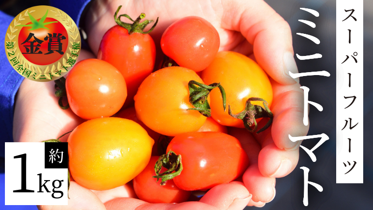 スーパーフルーツ ミニトマト 約1kg 2025年2月上旬発送開始 ミニトマト フルーツトマト ブランドトマト トマト とまと 野菜 [BC070sa]