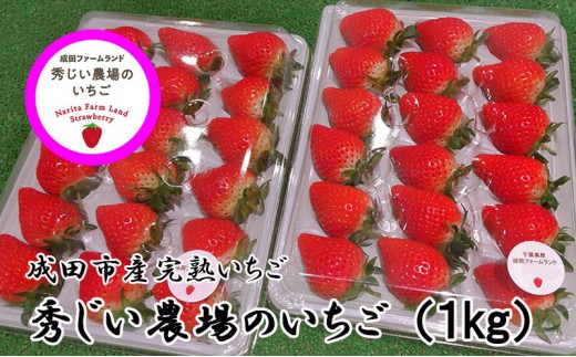 
                  秀じいのいちご（とちおとめ）2箱（1kg） 果物類 苺 イチゴ 
                