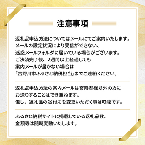 【 オンラインで完結 】ゆっくりえらべる カタログ 30万円 コース