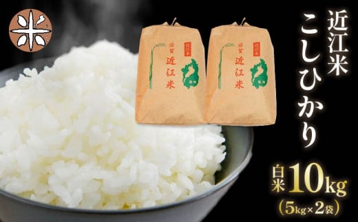 令和7年産 白米 10㎏ こしひかり 5kg × 2袋 精米 近江米 コシヒカリ 国産 お米 米 おこめ ごはん ご飯 白飯 しろめし こめ ゴハン 御飯 滋賀県産 竜王 ふるさと ランキング 人気 おすすめ