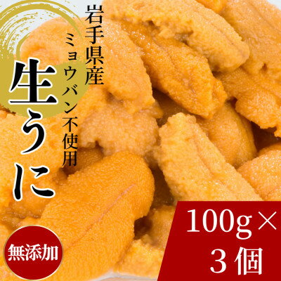 【ふるさと納税】天然生うに100g×3パック　岩手県産　ミョウバン不使用【配送不可地域：離島・沖縄県・九州】【1625398】
