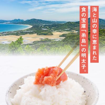 ふるさと納税 糸島市 【リピーター続出!】 訳あり 辛子明太子 切れ子 1kg やますえ[AKA038] |  | 01