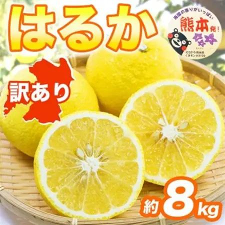 【先行予約】 熊本県産 やさしい甘さと爽やかな味わいのみかん! 訳あり はるか 約8kg(益城町)【1723666】