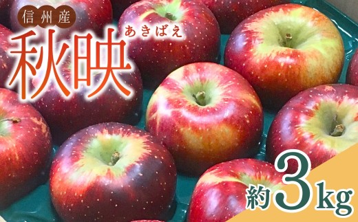 【2026年先行予約】太陽の恵みたっぷり りんご 秋映 3kg | 信州りんご 長野りんご リンゴ 林檎 あきばえ 千曲市 長野県産 信州
