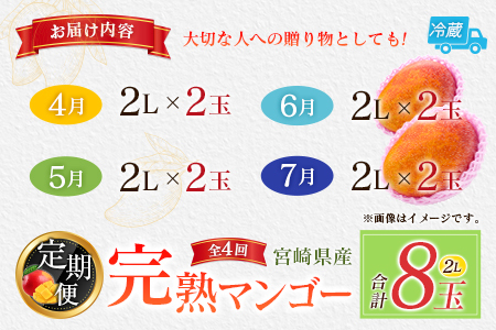 【定期便 完熟マンゴー】2027年出荷 2L×2玉 全4回 果物 フルーツ F143-27