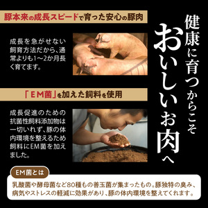 延岡よっとん　バラ　ブロック約1.1kg　N003-ZA328