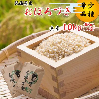 ふるさと納税 新ひだか町 &lt;10月中旬から順次発送&gt; 新米 令和7年度産 北海道米 おぼろづき 玄米 10kg (5kg×2)