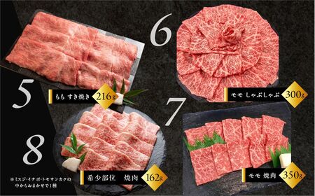 【定期便 12回】飛騨牛満喫 12ヵ月定期便 おすすめ 定期 毎月 ブランド牛 12カ月 肉 高級牛肉 高級 肉ギフト 国産 ステーキ カルビ 焼肉 しゃぶしゃぶ すき焼 すきやき ローストビーフ ギ