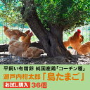 【ふるさと納税】【お試し】島たまご34個(破卵保障＋2個)《有精卵》平飼い 新鮮 卵 玉子 瀬戸内柑太郎 純国産鶏 産地直送 コーチン 017034