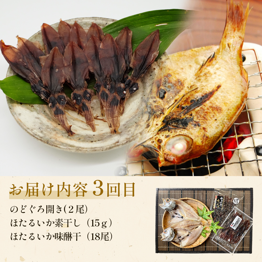 【定期便全３回隔月お届け】 「のどぐろ」「氷見ぶり」「
